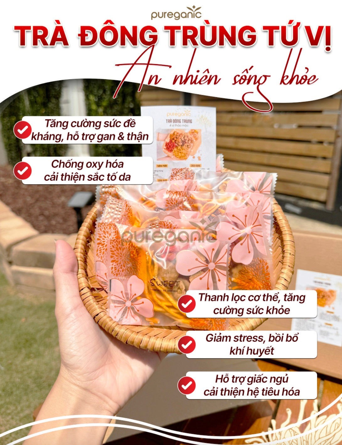 Trà Đông Trùng Tứ Vị